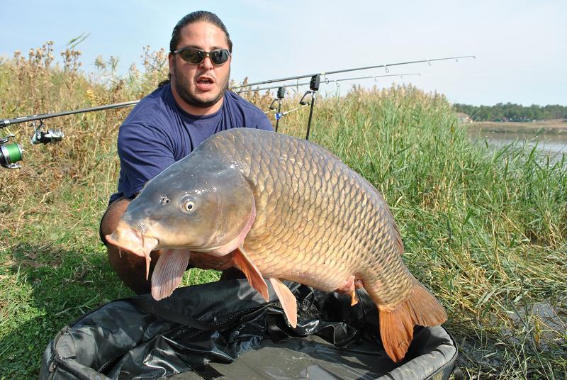  Capturi Sarulesti  - pas11.jpg